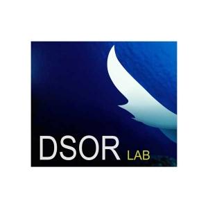 Dynamical Systems and Ocean Robotics Lab (DSOR) logo