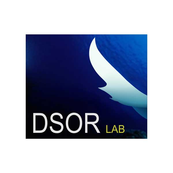 Dynamical Systems and Ocean Robotics Lab (DSOR) Logo